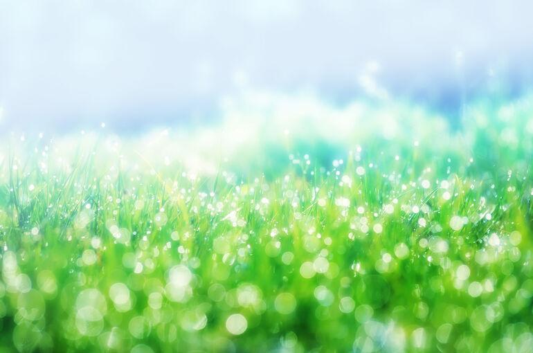 AdobeStock_22623381